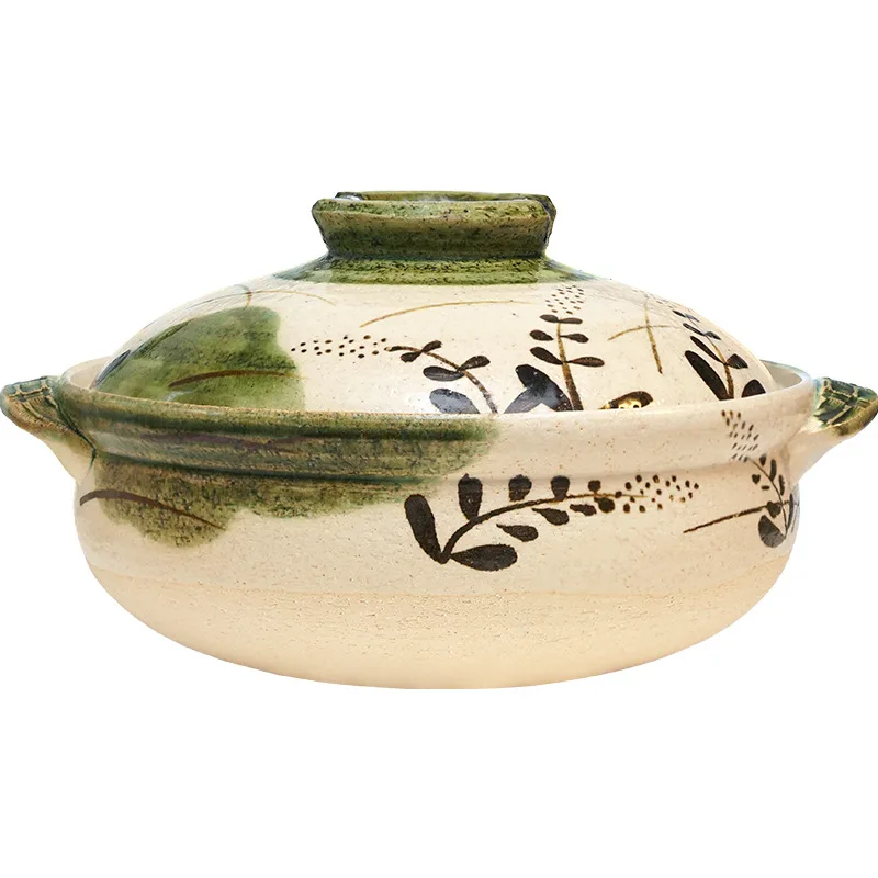 Aloe Vera Pot - Olla de cazuela doméstica de arcilla