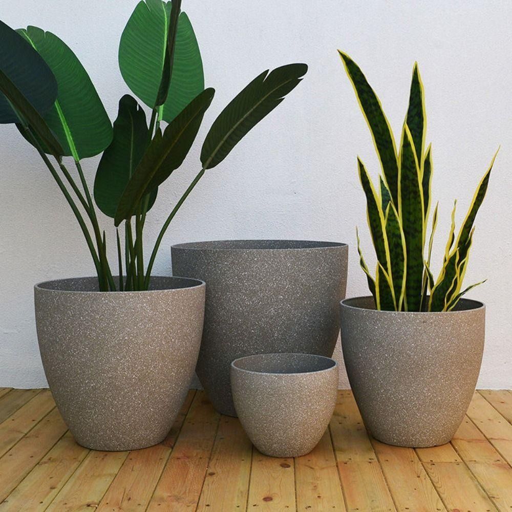 Aloe Vera Pot - Maceta de bonsái de piedra de