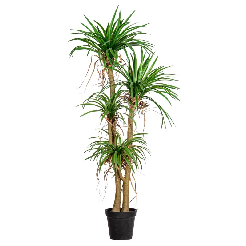 Dracaena Marginata - Árbol casero interior/exterior, maceta verde Artificial