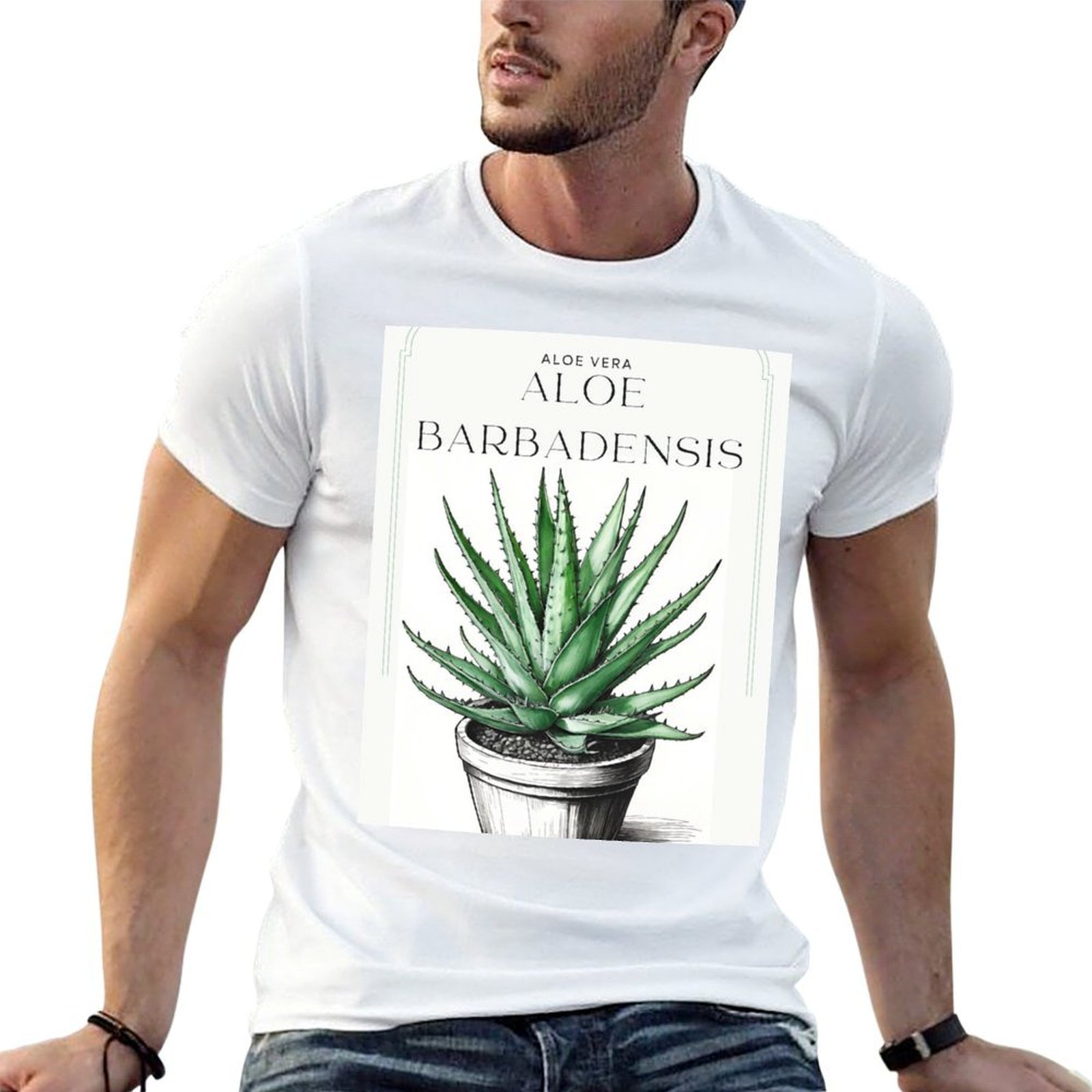 Aloe Vera Pot - Aloe Vera botánico en maceta, dibujo