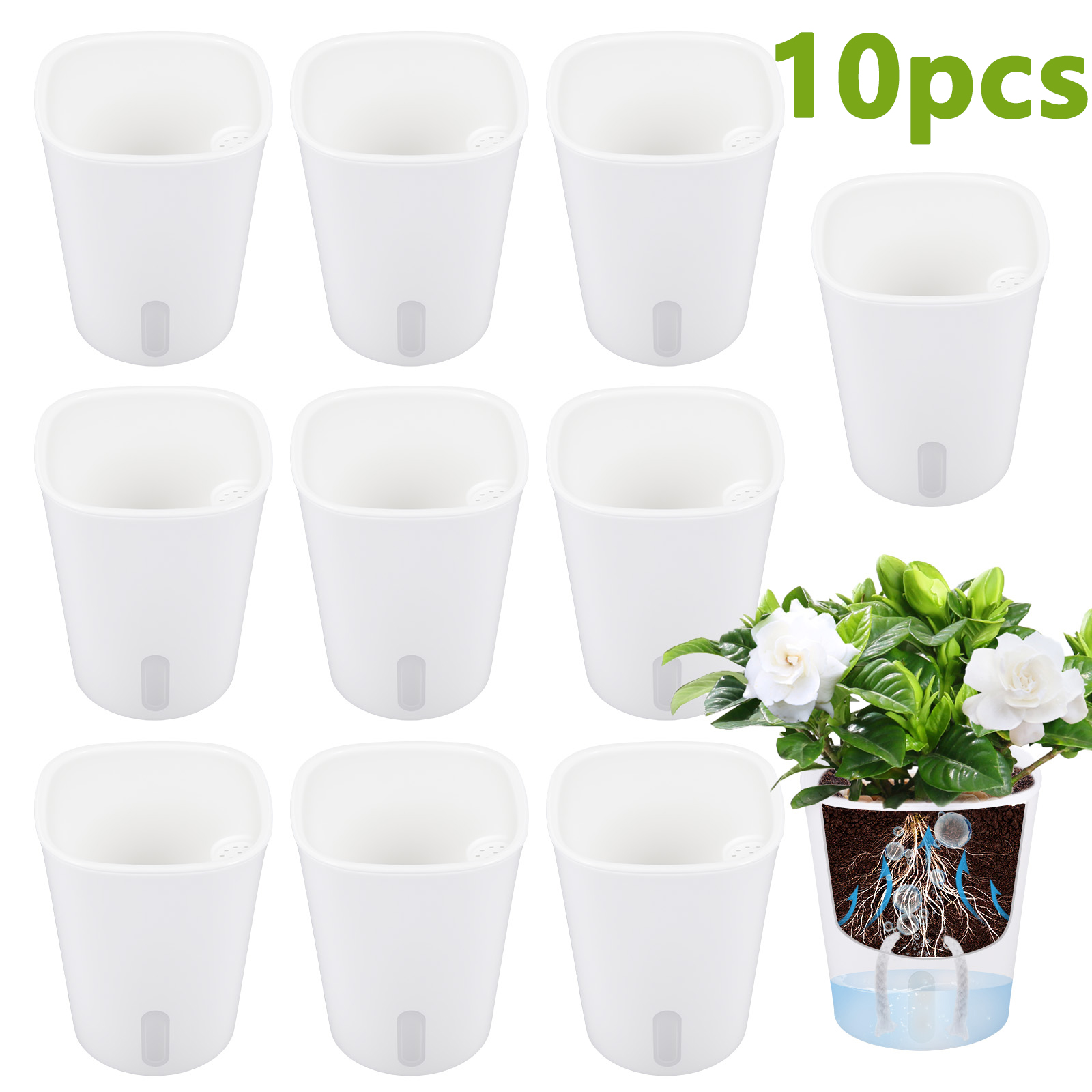 Aloe Vera Pot - 10 Macetas de Plástico con Autorriego,
