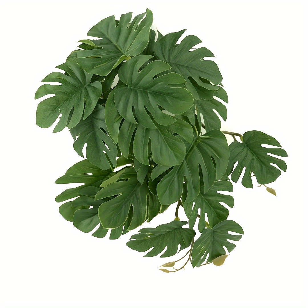 Monstera Adansonii - Plantas Artificiales para Terrario, Plantas Colgantes