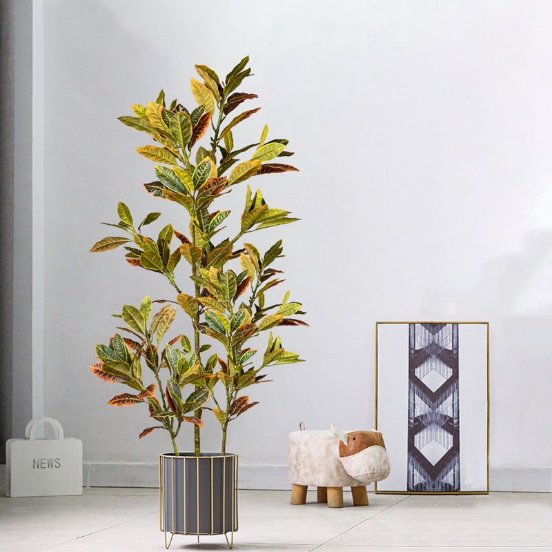 Ficus Lyrata Tree - Árbol de Ficus falso grande de