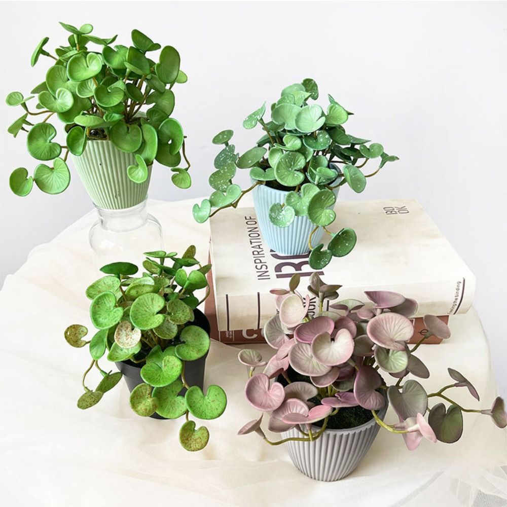 Echeveria Succulent - Pegamento suave, planta Artificial EVA, plantas