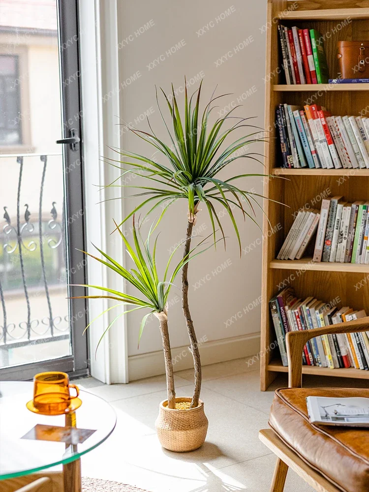 Dracaena Marginata - Planta verde de simulación de lujo