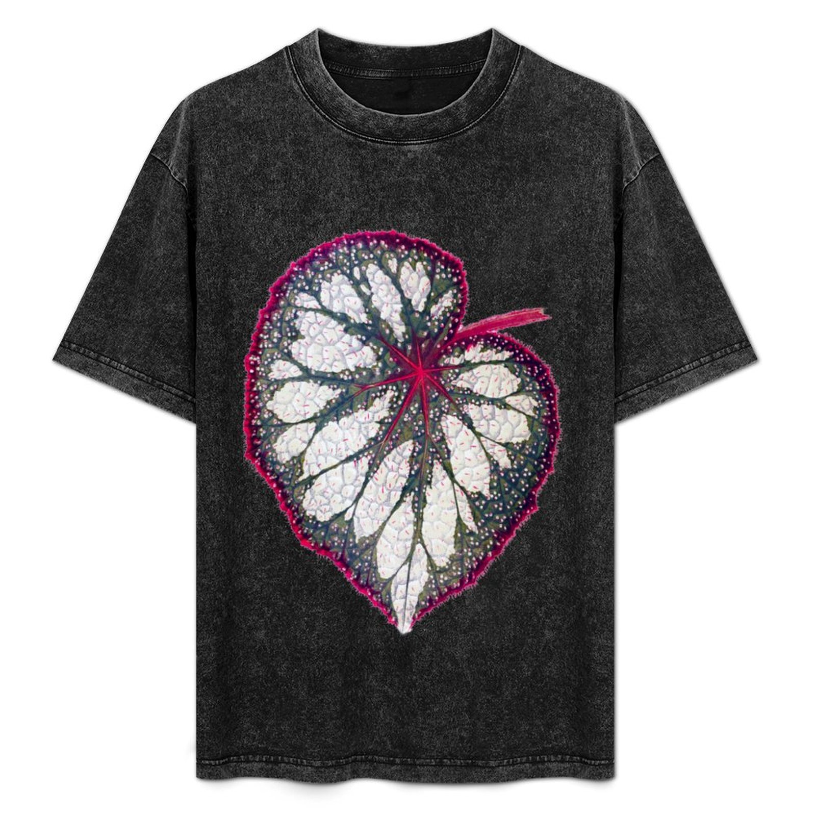 Begonia Rex - Camiseta Begonia rex, camiseta sencilla para
