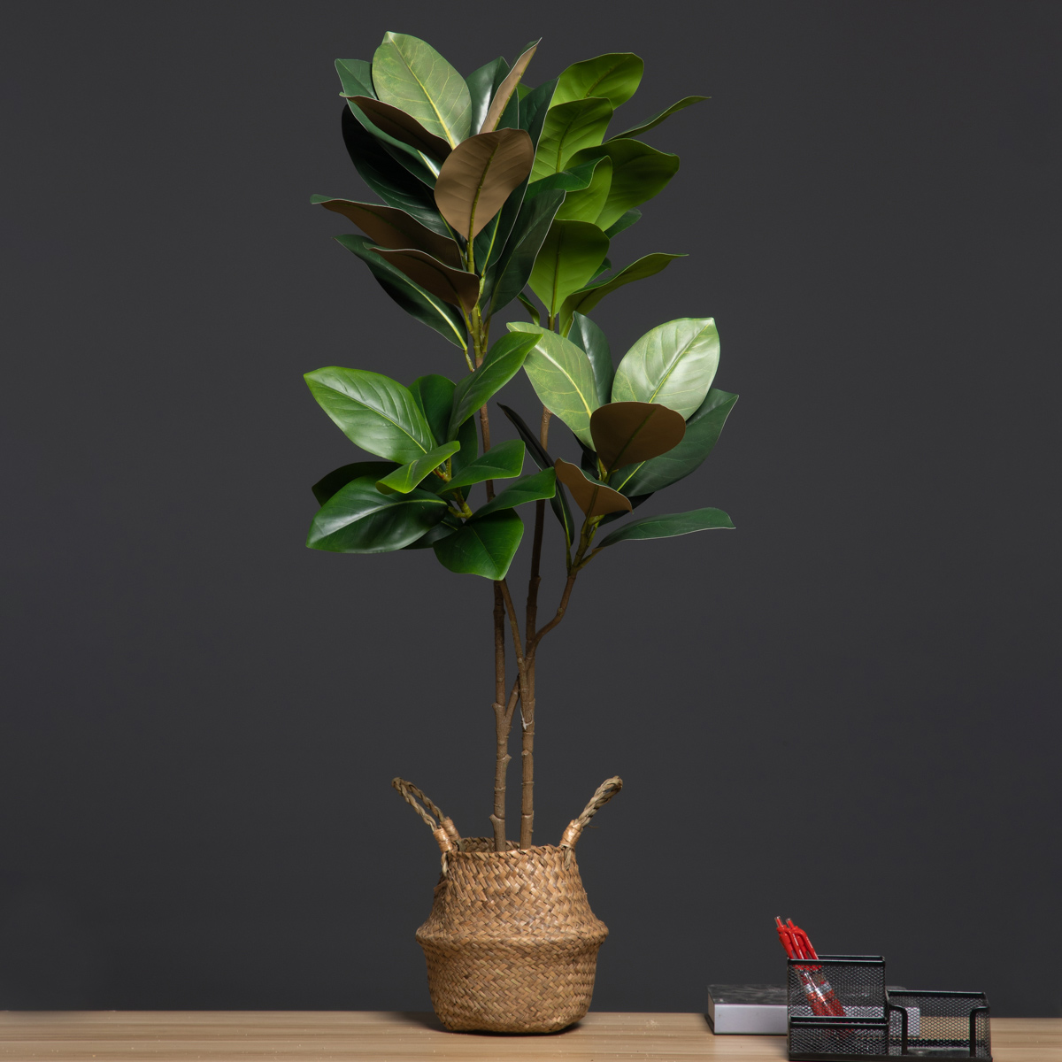 Dracaena Marginata - Plantas artificiales grandes de 105cm, 2