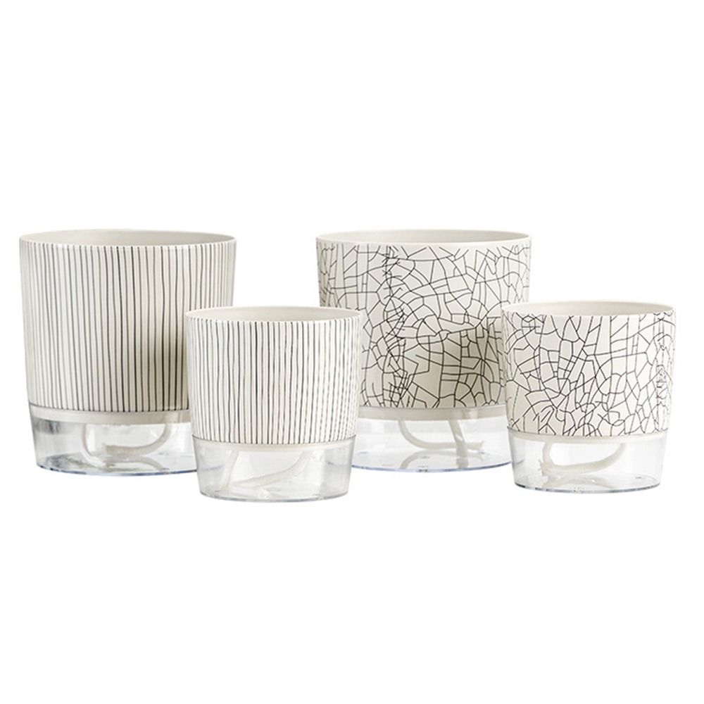 Aloe Vera Pot - Maceta Transparente con Sistema de Riego