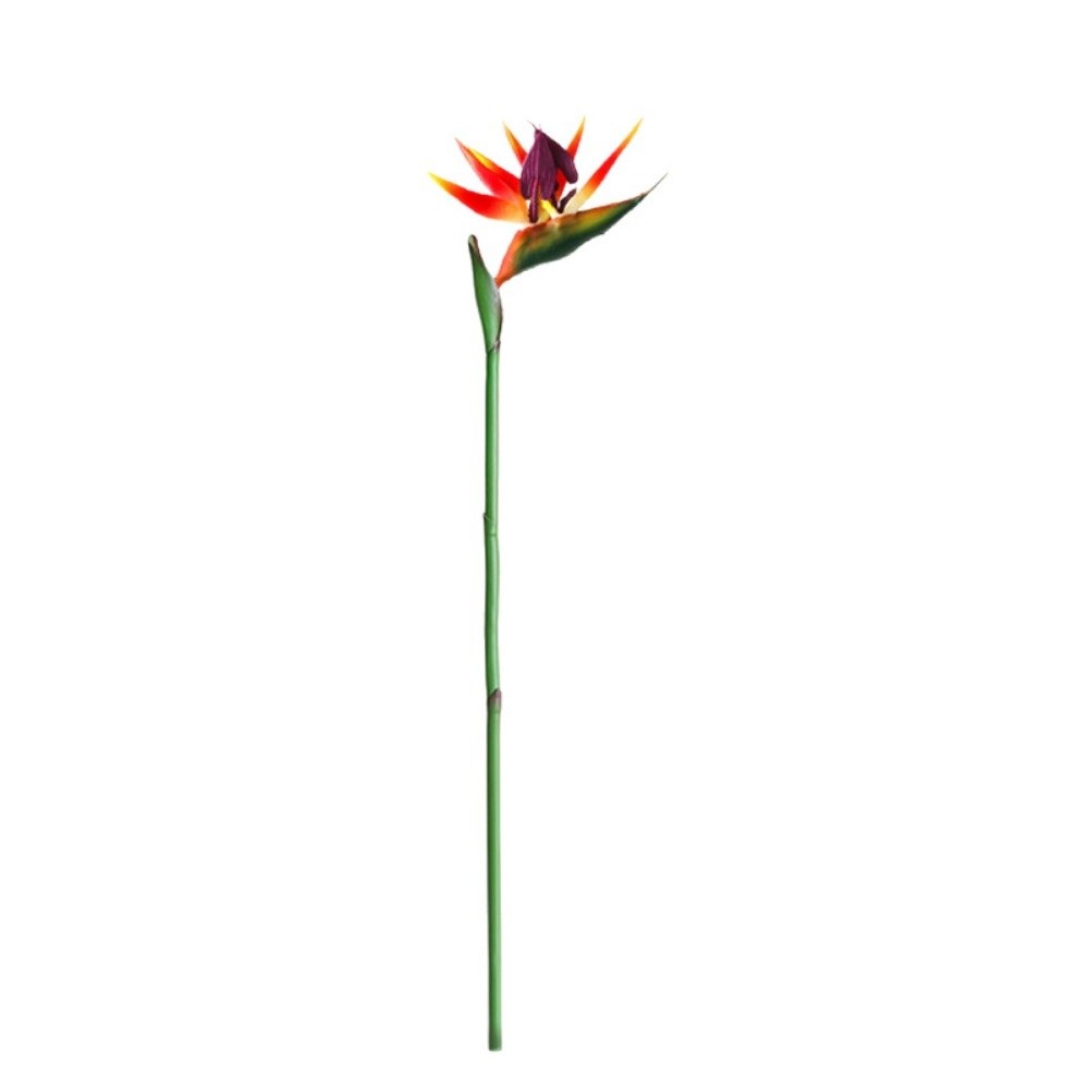 Nuevas Plantas Artificiales de - Bird Paradise Strelitzia reseña y precio