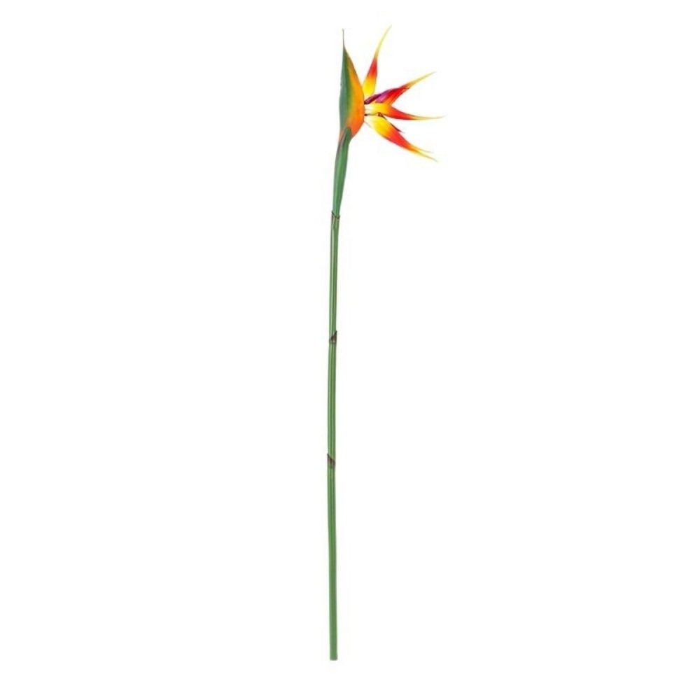 Nuevas Flores Artificiales de  - Bird Paradise Strelitzia reseña y precio