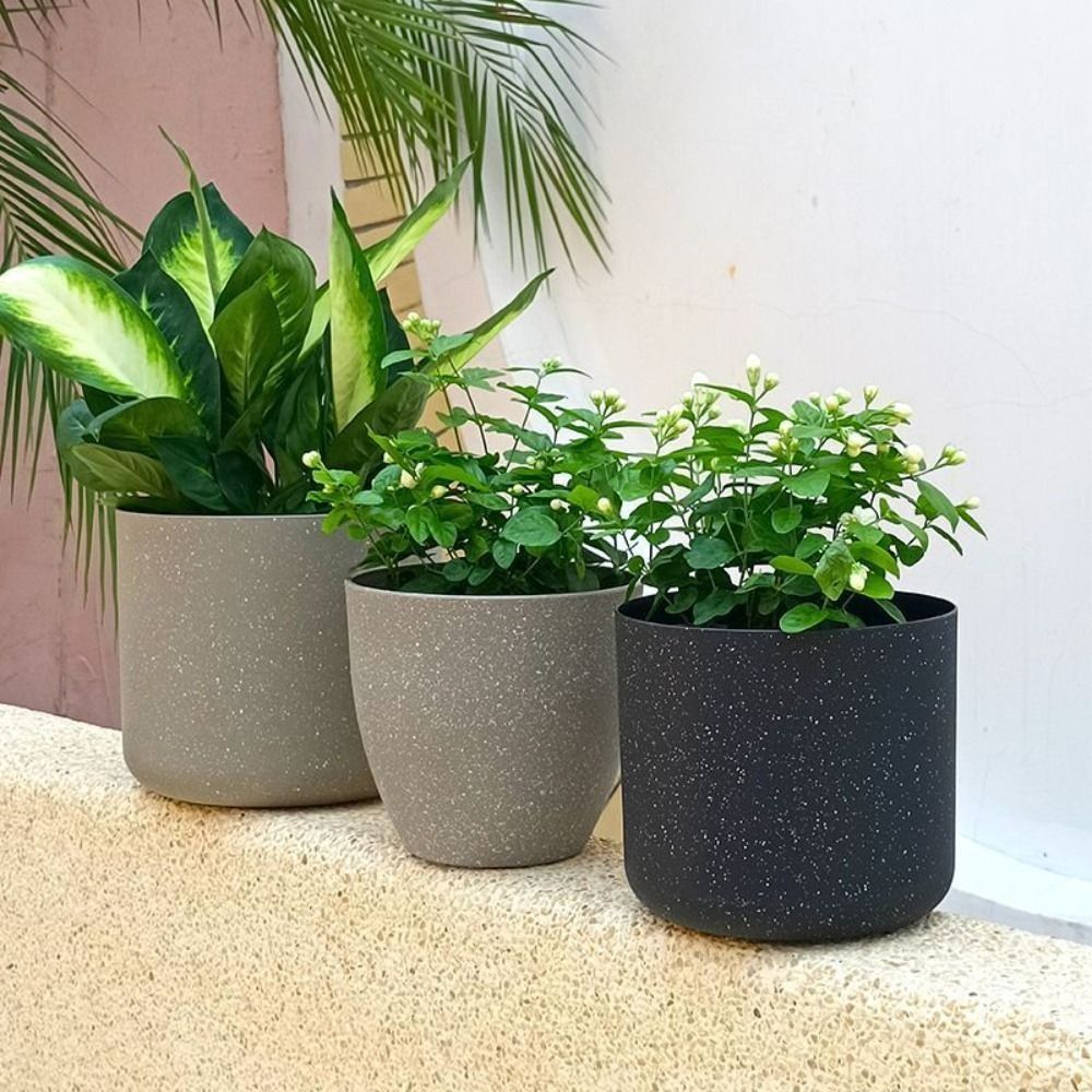 Macetas de piedra de imitación - Aloe Vera Pot reseña y precio