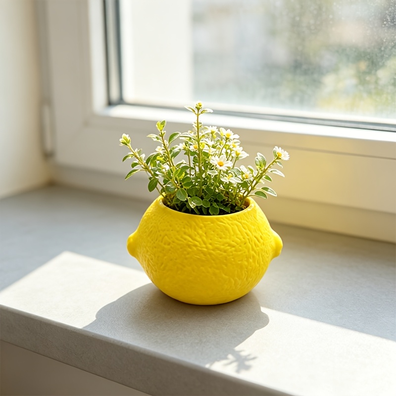 Maceta Decorativa en Forma de  - Echeveria Succulent reseña y precio