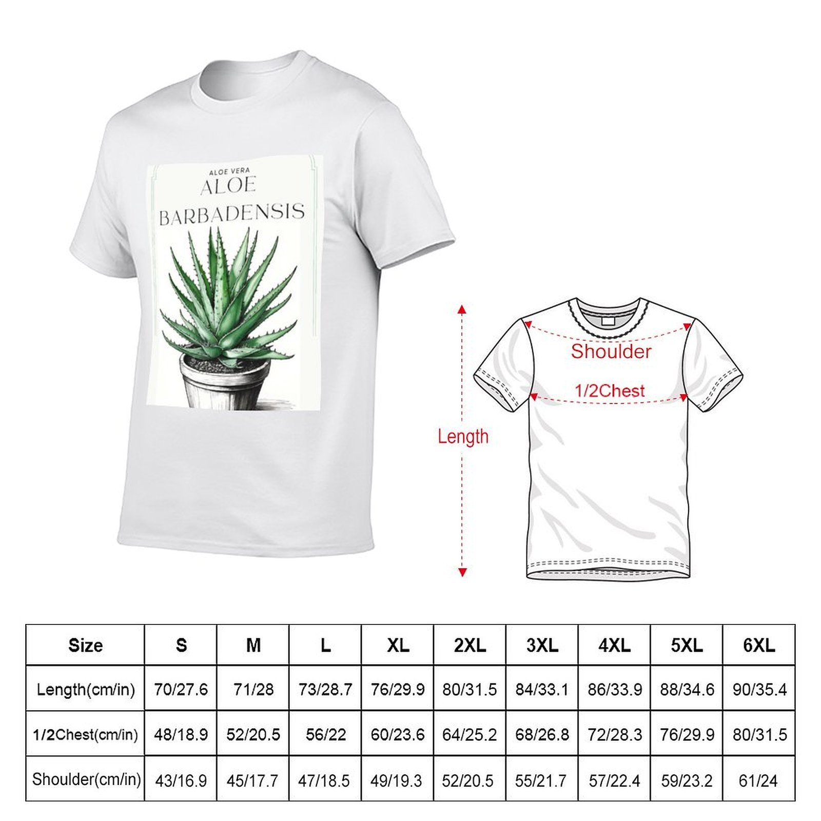 Aloe Vera botánico en maceta,  - Aloe Vera Pot reseña y precio