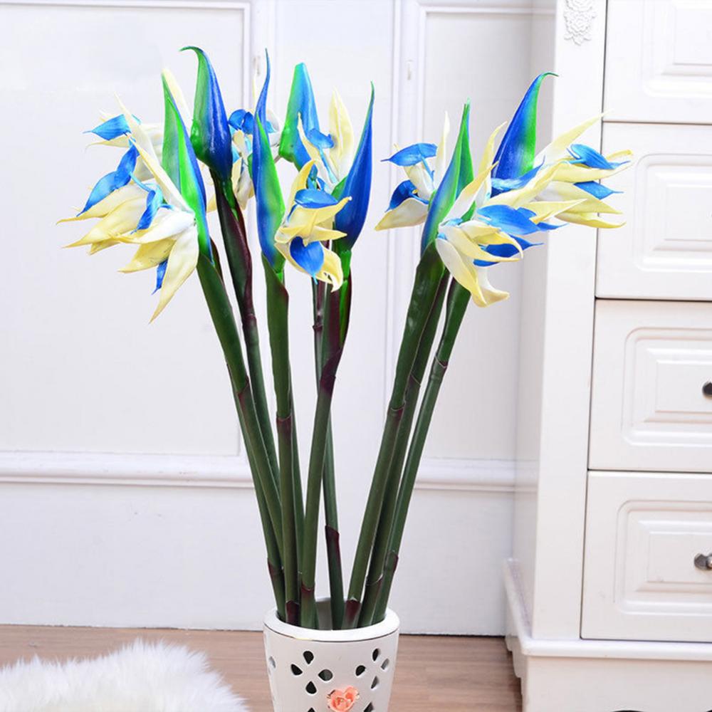 1 unidad de 80cm, flor de pája - Bird Paradise Strelitzia reseña y precio