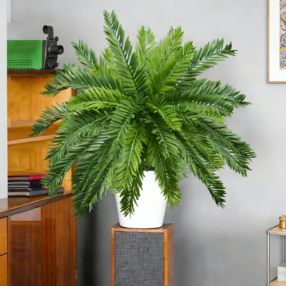 Plantas de palma artificiales  - Dracaena Marginata reseña y precio
