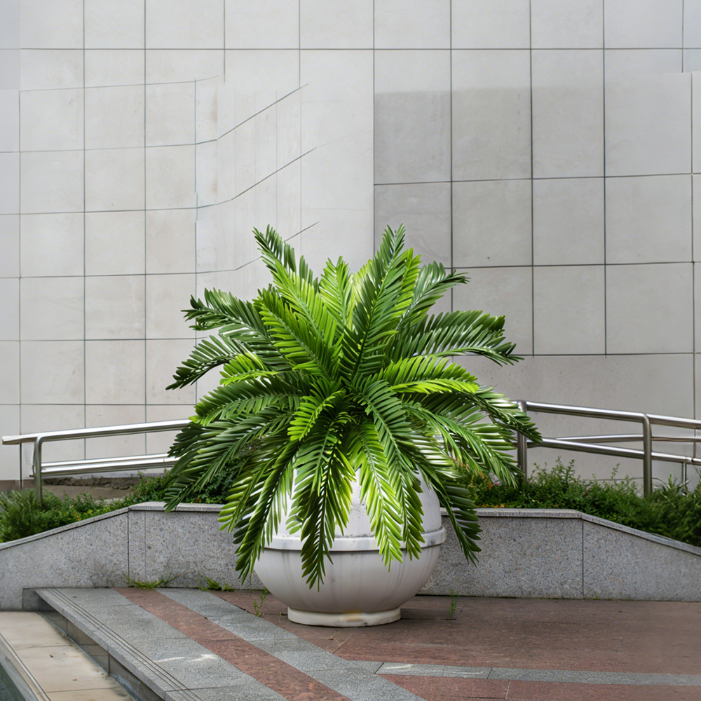 Plantas de palma artificiales  - Dracaena Marginata reseña y precio