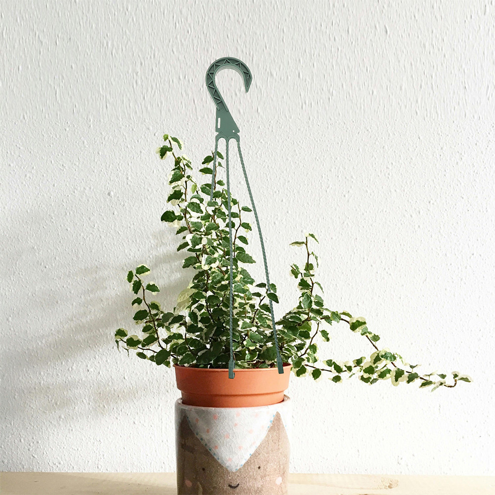 Juego de 5 Ganchos para Colgar - Spider Plant Hanging reseña y precio