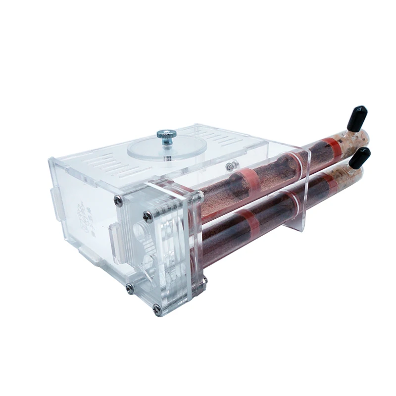 DIY Ant Farm 2 uds 18-180mm ni - Begonia Rex reseña y precio
