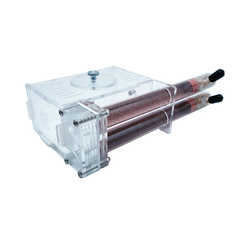 DIY Ant Farm 2 uds 18-180mm ni - Begonia Rex reseña y precio