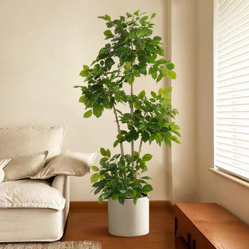 Plantas falsas grandes de 2-78 - Ficus Lyrata Tree reseña y precio