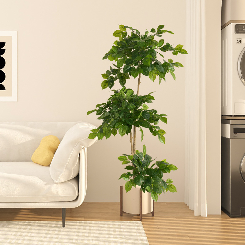 Plantas falsas grandes de 2-78 - Ficus Lyrata Tree reseña y precio