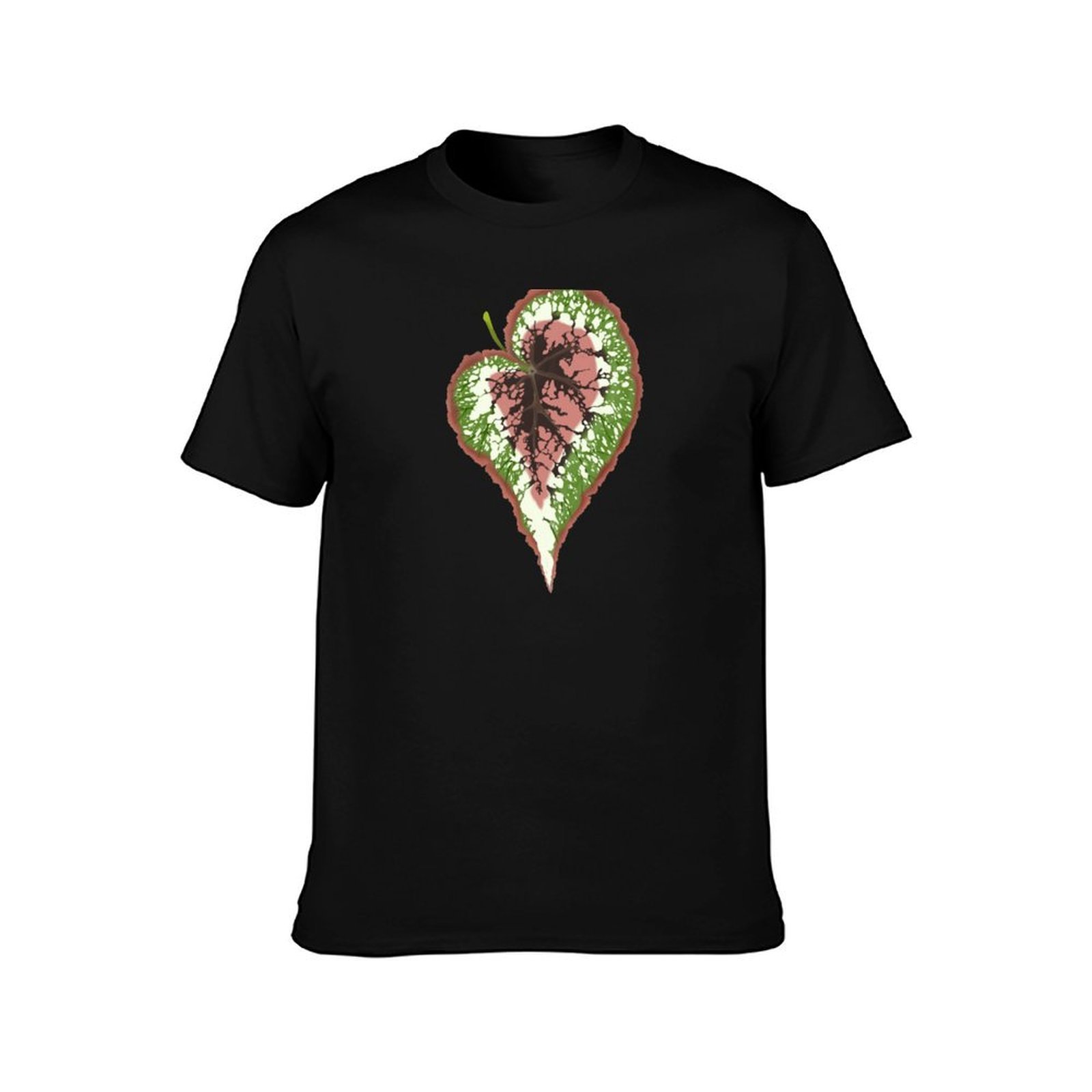 Camiseta Begonia Rex, diseño b - Begonia Rex reseña y precio