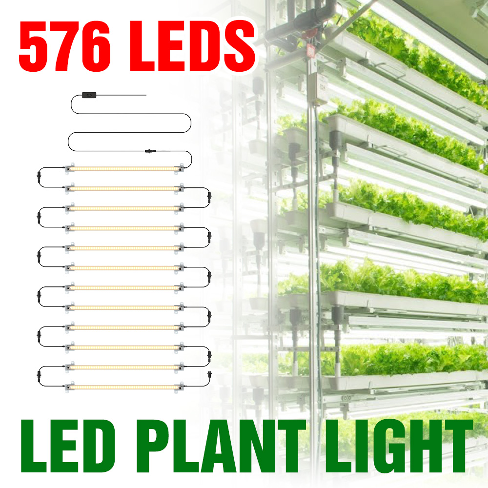 Tira de luces LED para cultivo - Echeveria Succulent reseña y precio