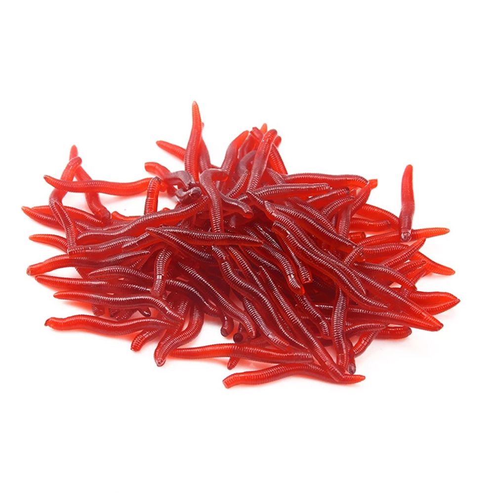 100 uds/botella aparejos reali - Aglaonema Red reseña y precio