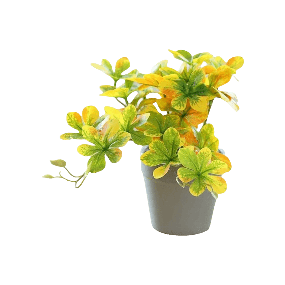 Bonsái Artificial, Planta Arañ - Spider Plant Hanging reseña y precio