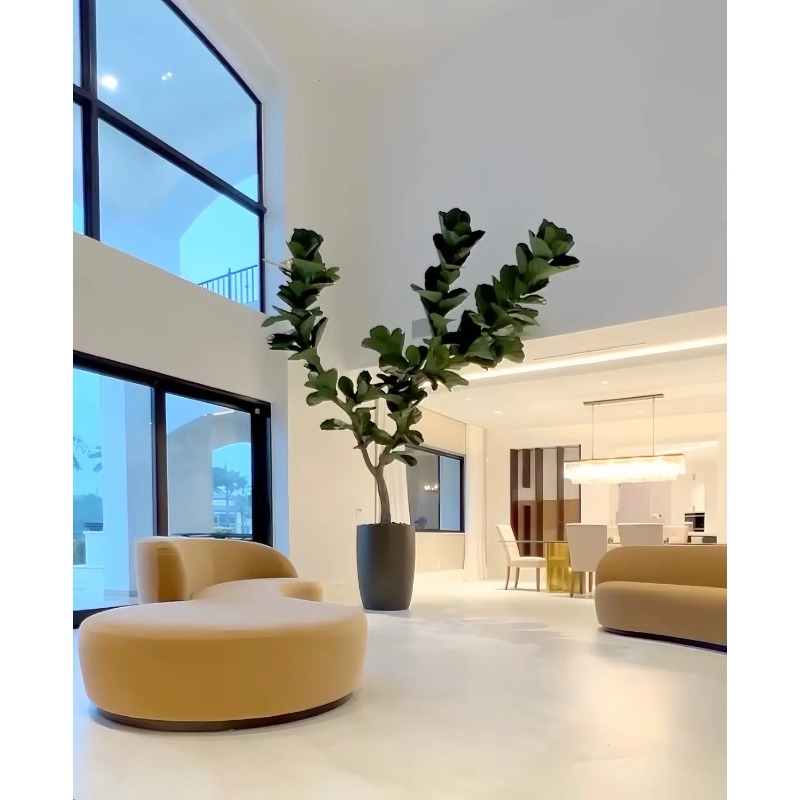 Plantas artificiales Planta en - Ficus Lyrata Tree reseña y precio