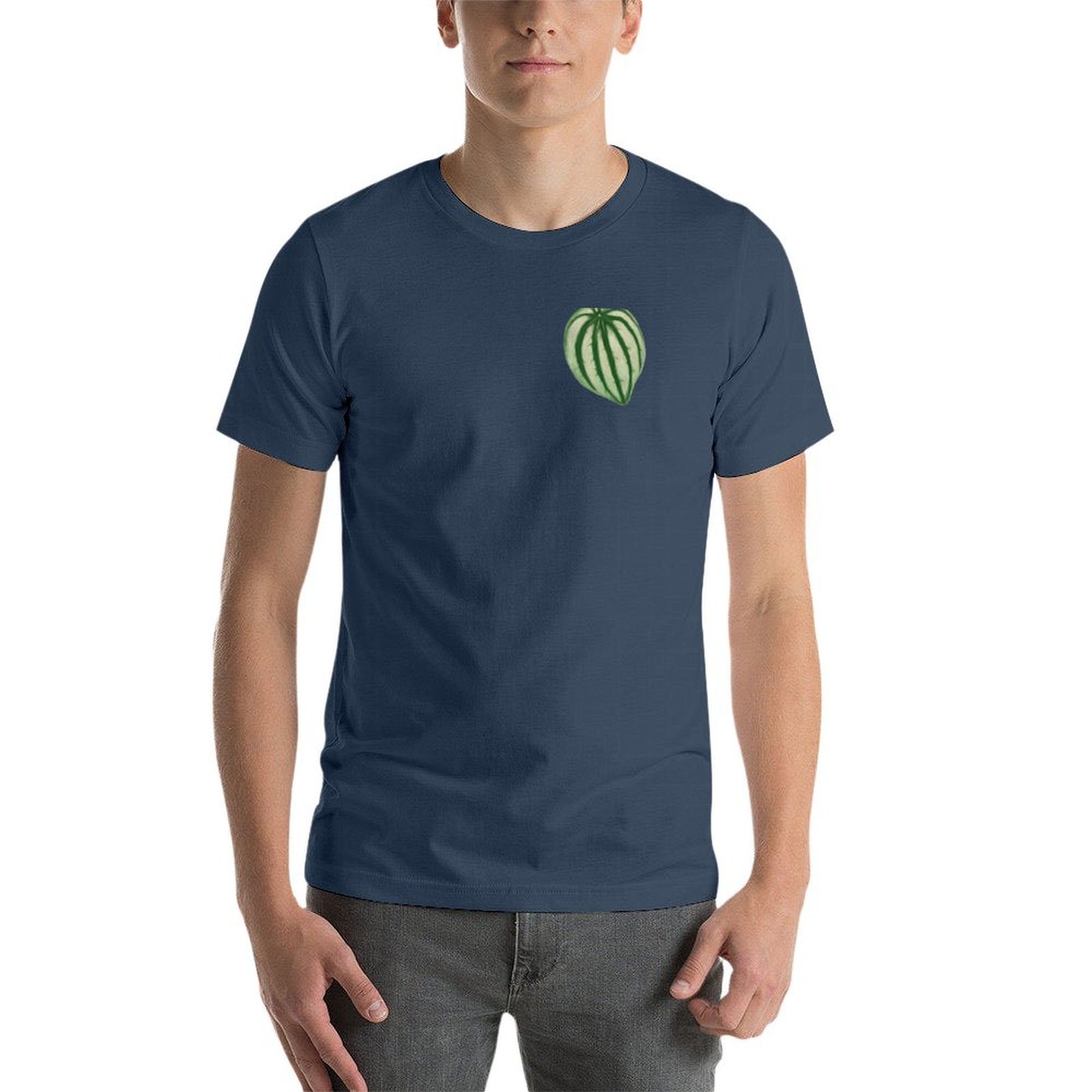 Camiseta Peperomia Watermelon  - Peperomia Watermelon reseña y precio