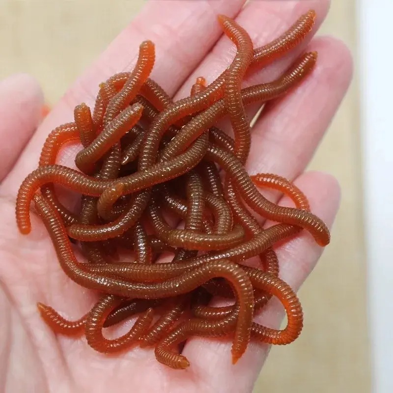 Señuelos de Pesca Suaves con A - Aglaonema Red reseña y precio