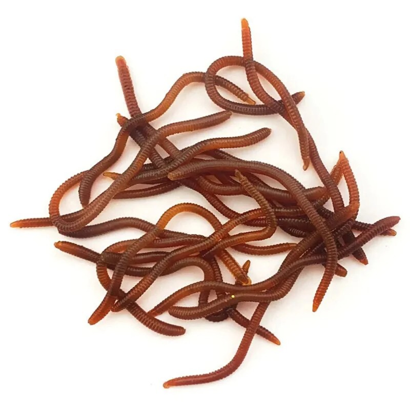 Señuelos de Pesca Suaves con A - Aglaonema Red reseña y precio