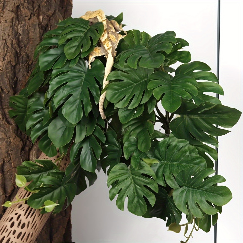 Plantas Artificiales para Terr - Monstera Adansonii reseña y precio