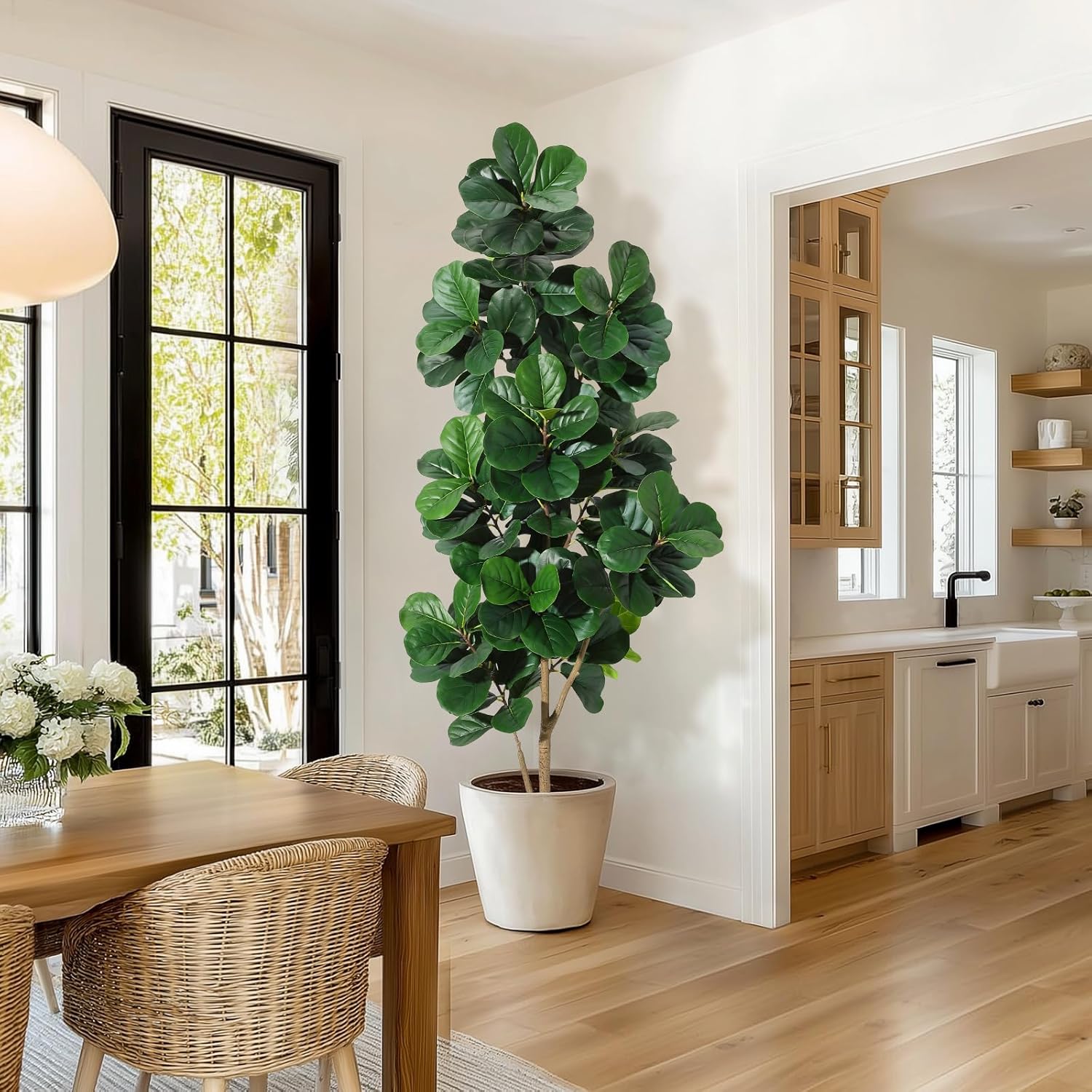 Árbol de higo de hoja de violí - Ficus Lyrata Tree reseña y precio