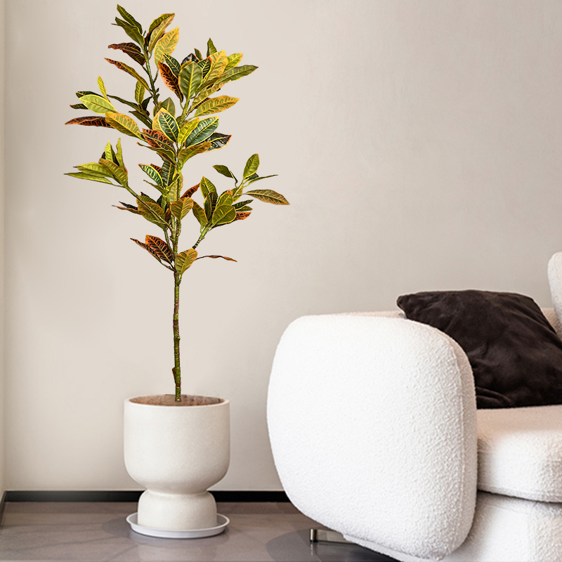 Árbol de Ficus falso grande de - Ficus Lyrata Tree reseña y precio