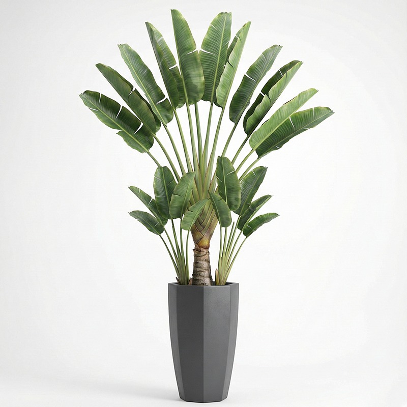 Árbol Artificial de Ficus Lyra - Ficus Lyrata Tree reseña y precio