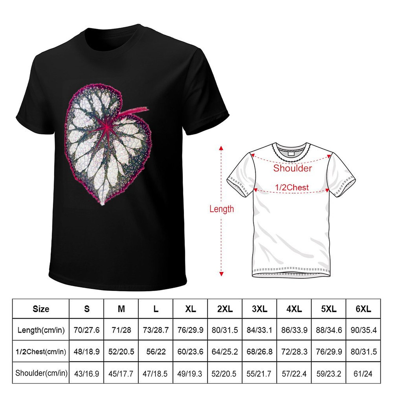 Camiseta Begonia rex de manga  - Begonia Rex reseña y precio