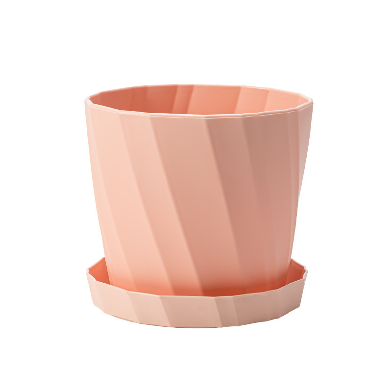 Maceta suculenta de plástico d - Aloe Vera Pot reseña y precio