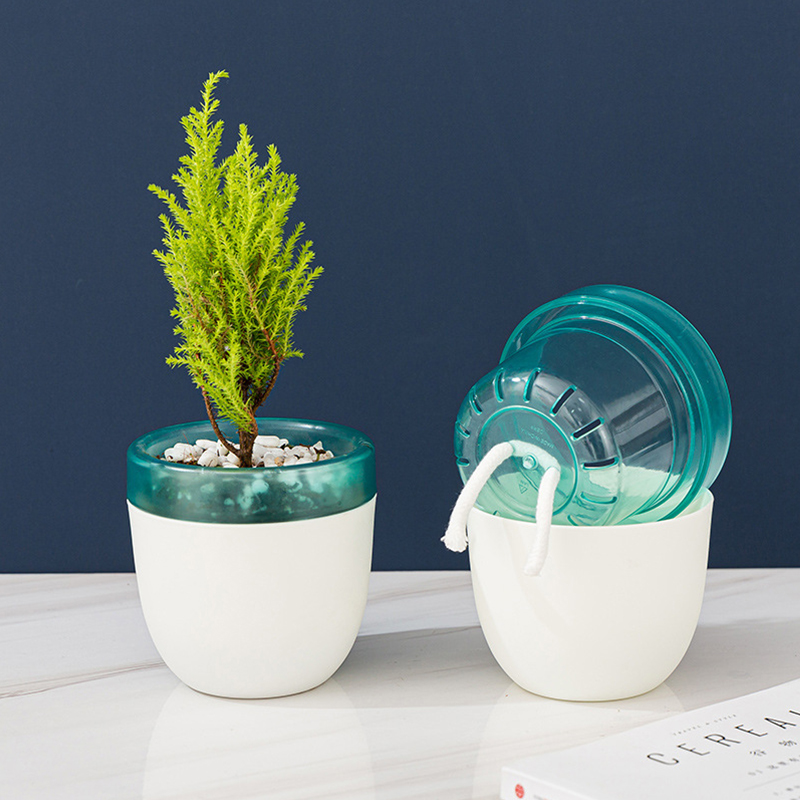 Maceta perezosa con absorción  - Aloe Vera Pot reseña y precio