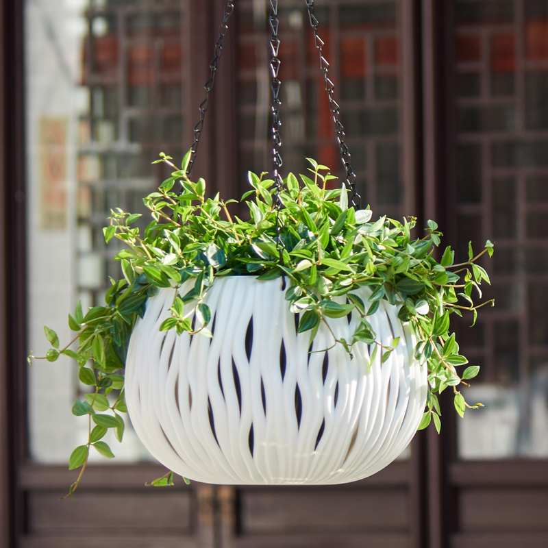 Maceta colgante, forma persona - Spider Plant Hanging reseña y precio