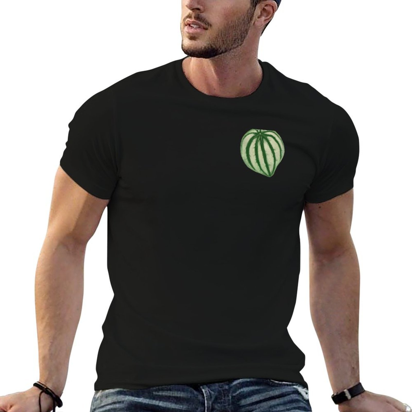 Camiseta Watermelon Peperomia  - Peperomia Watermelon reseña y precio
