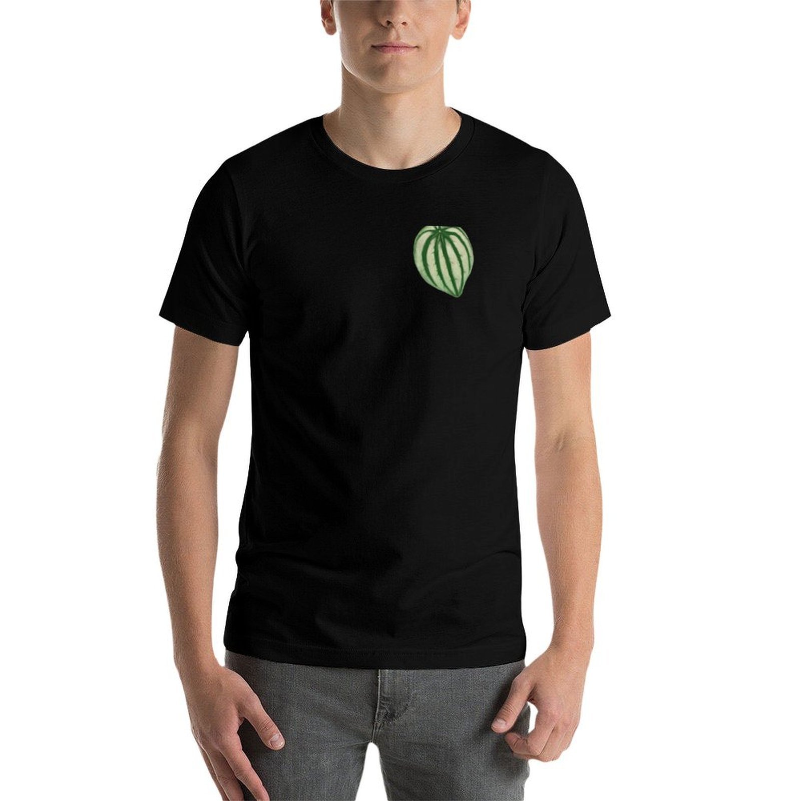 Camiseta Watermelon Peperomia  - Peperomia Watermelon reseña y precio