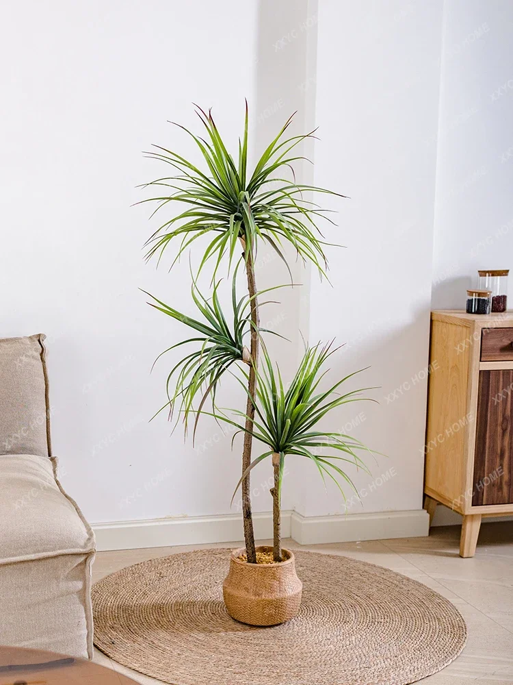 Planta verde de simulación de  - Dracaena Marginata reseña y precio