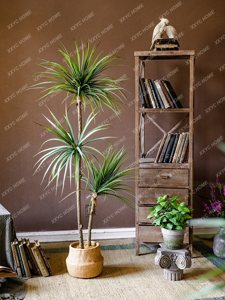 Planta verde de simulación de  - Dracaena Marginata reseña y precio