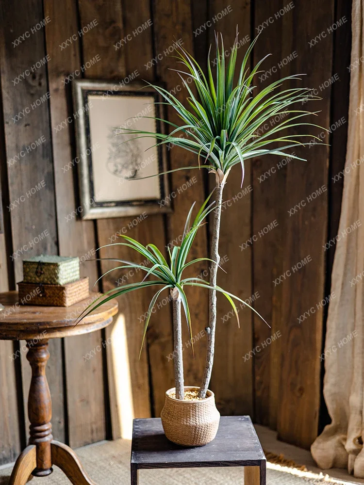 Planta verde de simulación de  - Dracaena Marginata reseña y precio