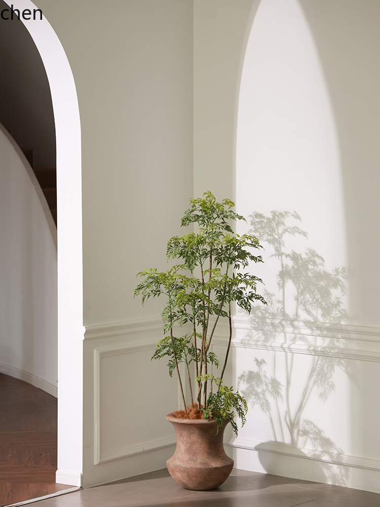 LYY - Florero de suelo con pla - Ficus Lyrata Tree reseña y precio