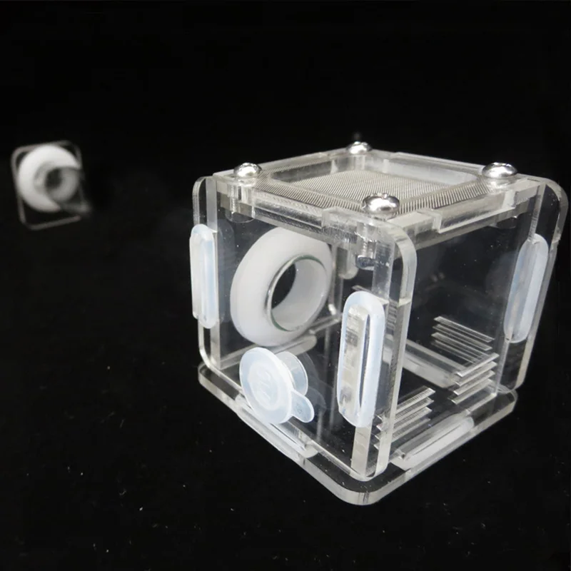 Nido de hormigas DIY de varios - Begonia Rex reseña y precio