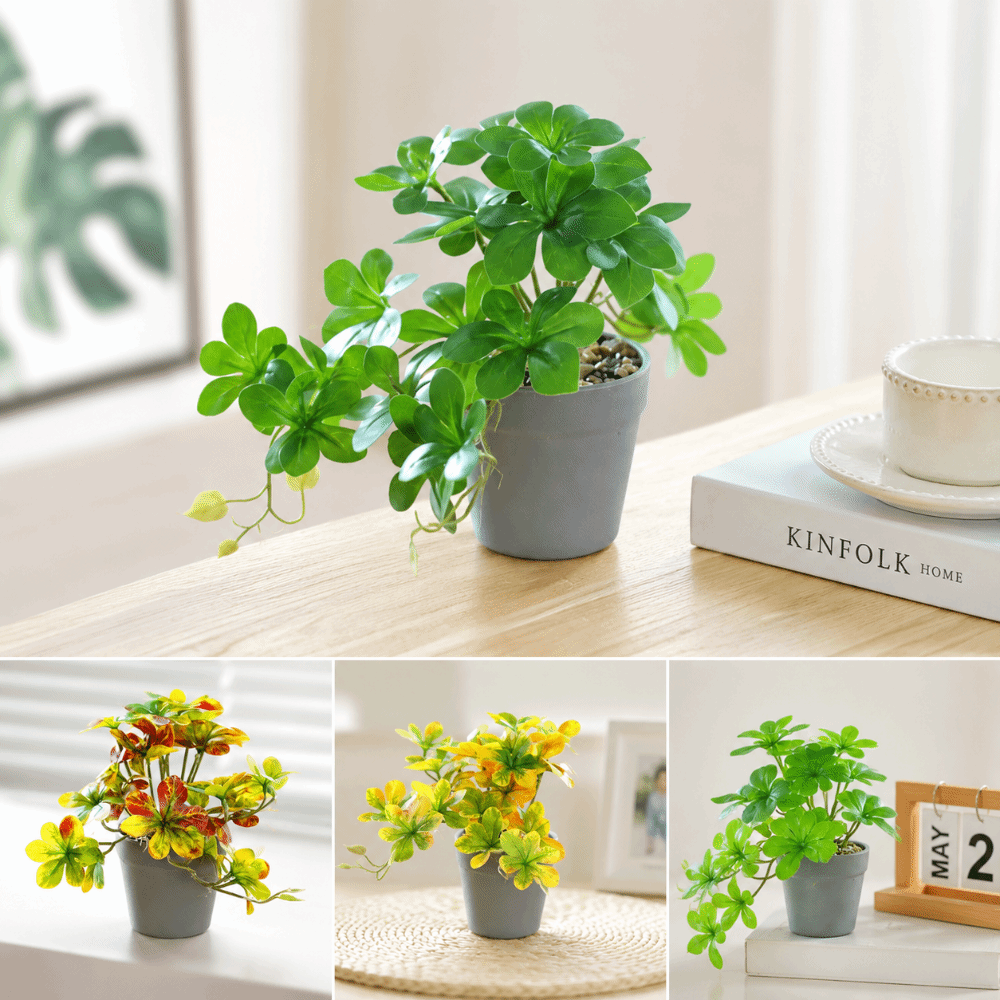 Bonsái Artificial, Planta Arti - Spider Plant Hanging reseña y precio