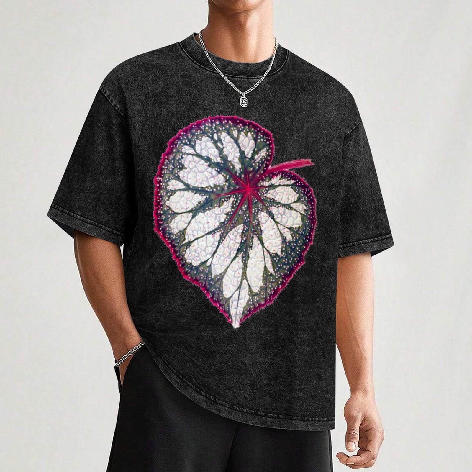 Camiseta Begonia rex, camiseta - Begonia Rex reseña y precio